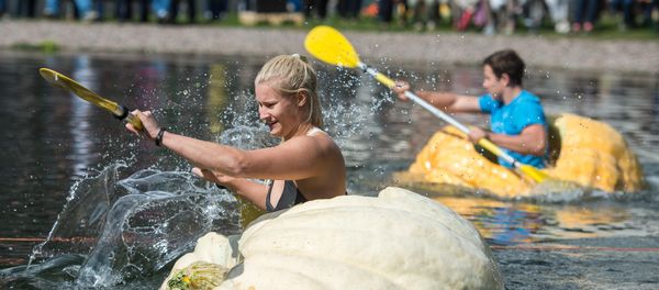 Participants paddle in hollowed out giant pumpkins during the traditional pumpkin paddling in Fambach near Schmalkalden, central Germany, on September 10, 2017 - Sputnik International