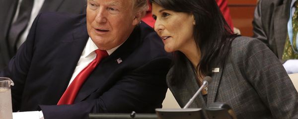 Donald Trump Nikki Haley United Nations Donald Trump Nikki Haley United Nations - Sputnik International