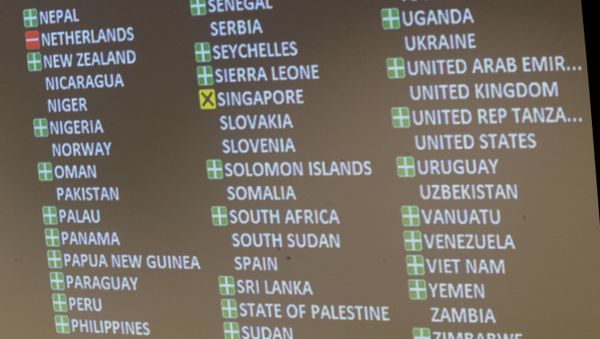 A detail of the video board showing the votes in favor, against and the abstention is seen after a vote by the conference to adopt a legally binding instrument to prohibit nuclear weapons, leading towards their total elimination, Friday, July 7, 2017 at United Nations headquarters. A detail of the video board showing the votes in favor, against and the abstention is seen after a vote by the conference to adopt a legally binding instrument to prohibit nuclear weapons, leading towards their total elimination, Friday, July 7, 2017 at United Nations headquarters. - Sputnik International