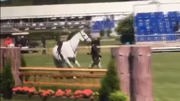 Jazz Johnson-Merton, heiress to the Johnson & Johnson multinational consumer goods producer, was filmed kicking the crap out of her horse at the Hampton Classic on September 1 - Sputnik International
