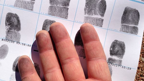 Fingerprint - Sputnik International