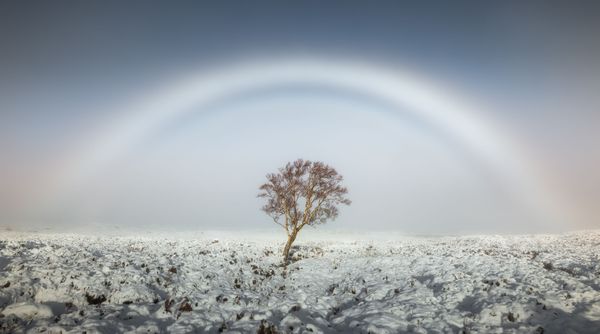 Shelf Cloud, Eye of the Storm, Fogbow: Weather Photographer of the Year 2017 Shelf Cloud, Eye of the Storm, Fogbow: Weather Photographer of the Year 2017 - Sputnik International