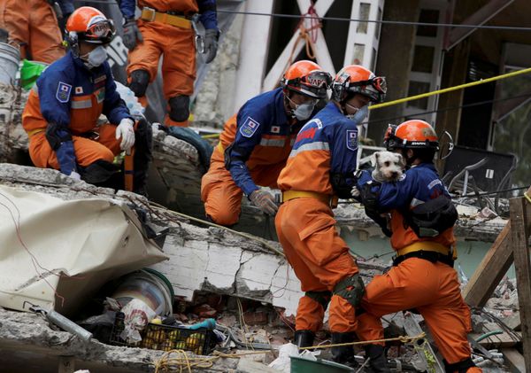 This Week in Pictures (September 23-29) - Sputnik International
