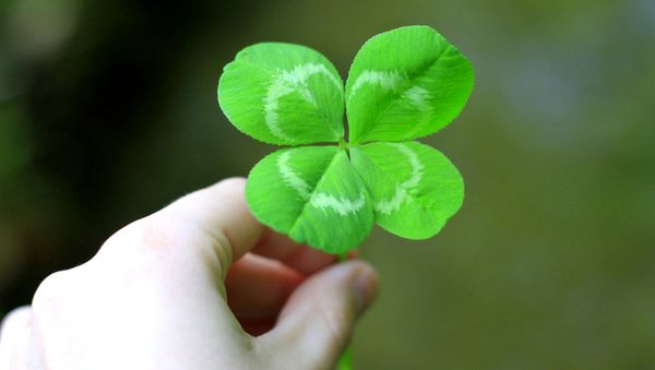 Lucky day - Sputnik International