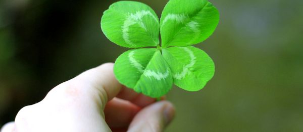 Lucky day - Sputnik International