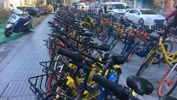 Bicycles in China - Sputnik International