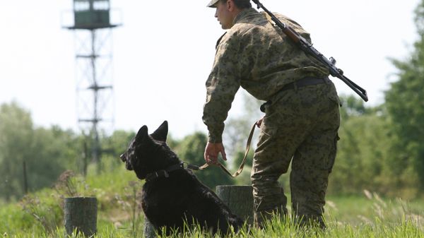 Russian border guard (File) - Sputnik International