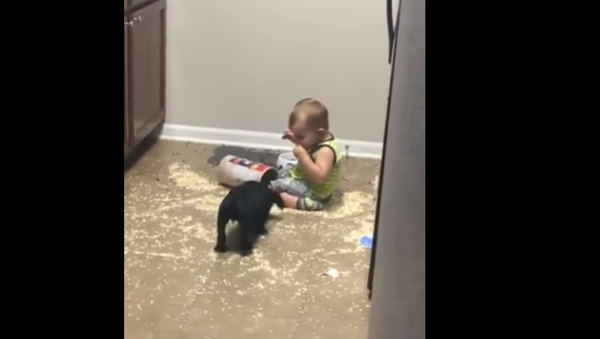 Wild Oats: Double Trouble from Baby and Pup - Sputnik International