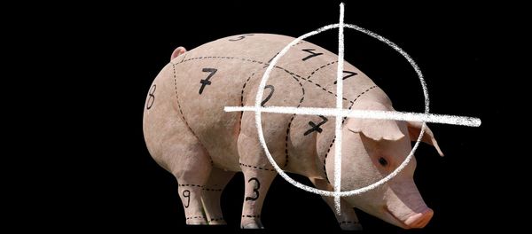 Pig - Sputnik International