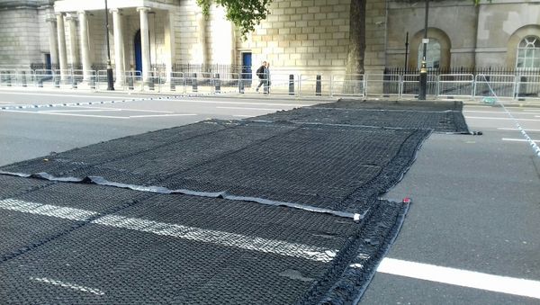 Talon mats at Whitehall for the Naval Association Parade in September - Sputnik International