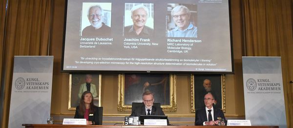 Gunnar von Heijne (C), Secretary of the Nobel Committee for Chemistry 2017, Sara Snogerup Linse, Chair of the Nobel Committee for Chemistry 2017 and Peter Brzezinski, Professor of Biochemistry, announce the winners of the 2017 Nobel Prize in Chemistry during a press conference in Stockholm, Sweden, October 4, 2017 Gunnar von Heijne (C), Secretary of the Nobel Committee for Chemistry 2017, Sara Snogerup Linse, Chair of the Nobel Committee for Chemistry 2017 and Peter Brzezinski, Professor of Biochemistry, announce the winners of the 2017 Nobel Prize in Chemistry during a press conference in Stockholm, Sweden, October 4, 2017 - Sputnik International