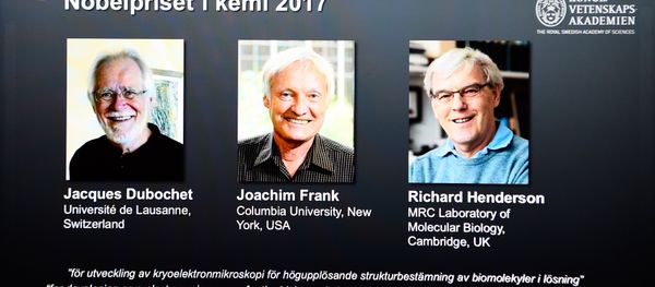 A screen displays portraits of winners of the 2017 Nobel Prize in Chemistry on October 4, 2017 at the Royal Swedish Academy of Sciences in Stockholm, Sweden (L-R) Jacques Dubochet from Switzerland, Joachim Frank from the US and Richard Henderson from Britain A screen displays portraits of winners of the 2017 Nobel Prize in Chemistry on October 4, 2017 at the Royal Swedish Academy of Sciences in Stockholm, Sweden (L-R) Jacques Dubochet from Switzerland, Joachim Frank from the US and Richard Henderson from Britain - Sputnik International