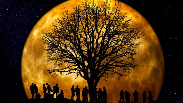 Harvest Moon - Sputnik International