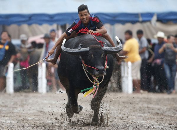 This Week in Pictures (September 30 - October 6) This Week in Pictures (September 30 - October 6) - Sputnik International
