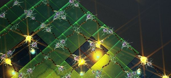 Neural network - Sputnik International