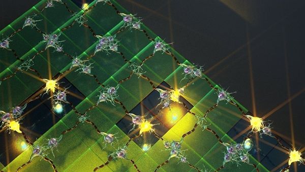 Neural network - Sputnik International