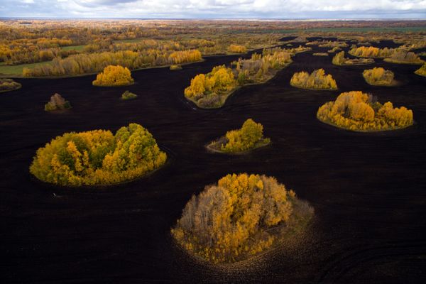 Beautiful Landscapes of Siberia in Fall Beautiful Landscapes of Siberia in Fall - Sputnik International