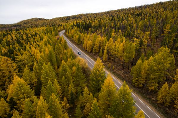 Beautiful Landscapes of Siberia in Fall Beautiful Landscapes of Siberia in Fall - Sputnik International