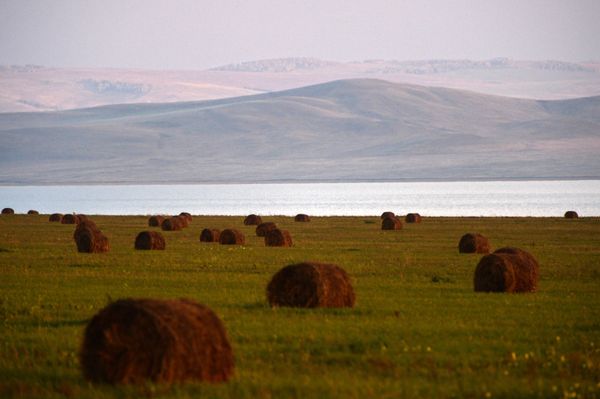Beautiful Landscapes of Siberia in Fall Beautiful Landscapes of Siberia in Fall - Sputnik International