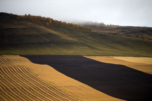 Beautiful Landscapes of Siberia in Fall Beautiful Landscapes of Siberia in Fall - Sputnik International