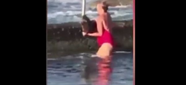 Melissa Hatheier filmed wrestling shark in Cronulla ocean pool Melissa Hatheier filmed wrestling shark in Cronulla ocean pool - Sputnik International