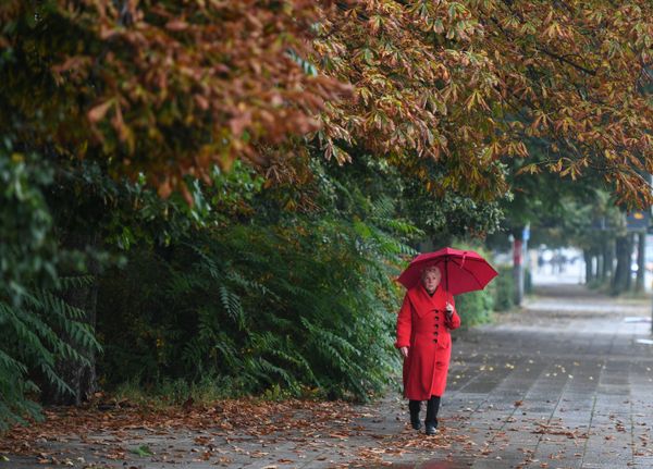 Vibrant Colors of Fall Spattered Across the Globe - Sputnik International