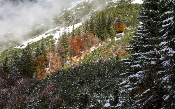 Vibrant Colors of Fall Spattered Across the Globe - Sputnik International
