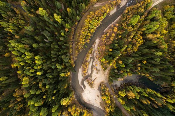 Vibrant Colors of Fall Spattered Across the Globe - Sputnik International