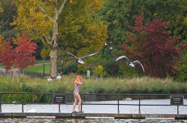 Vibrant Colors of Fall Spattered Across the Globe - Sputnik International