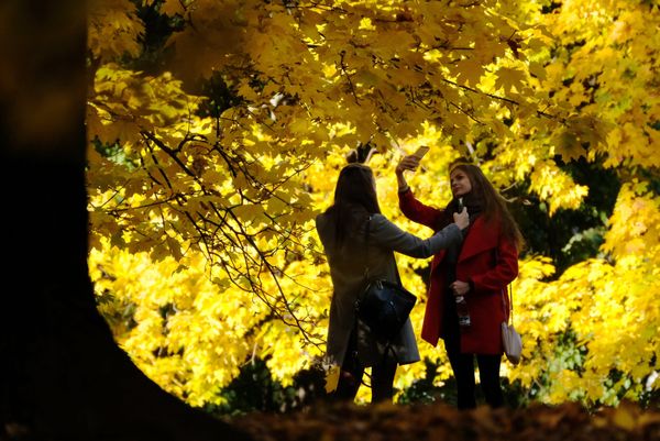 Vibrant Colors of Fall Spattered Across the Globe - Sputnik International