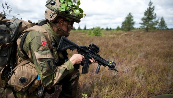 Norwegian Soldier Norwegian Soldier - Sputnik International