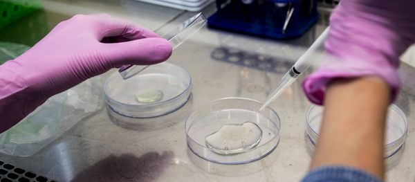 Technology and Pharmaceuticals Lab - Sputnik International