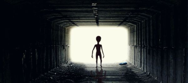 Alien Alien - Sputnik International