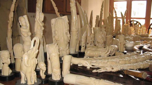 Carved ivory figurines, made from the tusks of poached elephants - Sputnik International