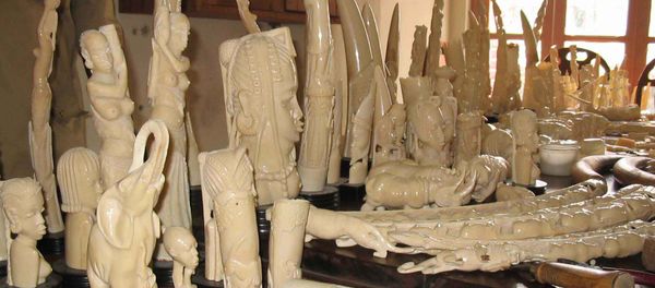 Carved ivory figurines, made from the tusks of poached elephants - Sputnik International