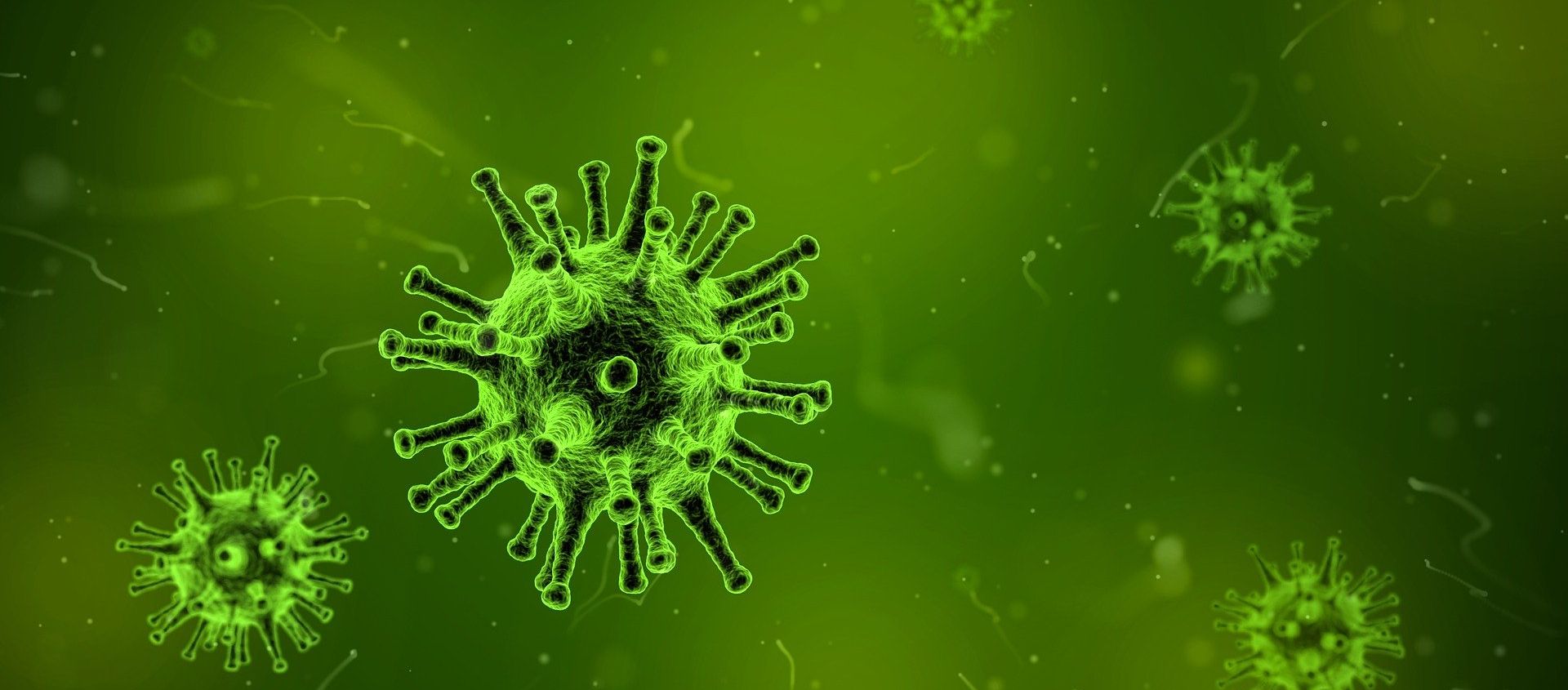 Virus Virus - Sputnik International, 1920, 04.06.2019