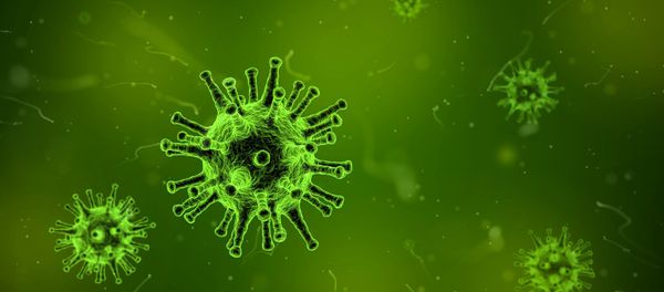 Virus Virus - Sputnik International