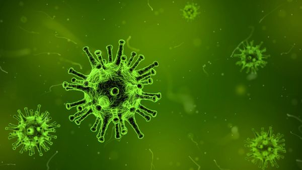 Virus - Sputnik International