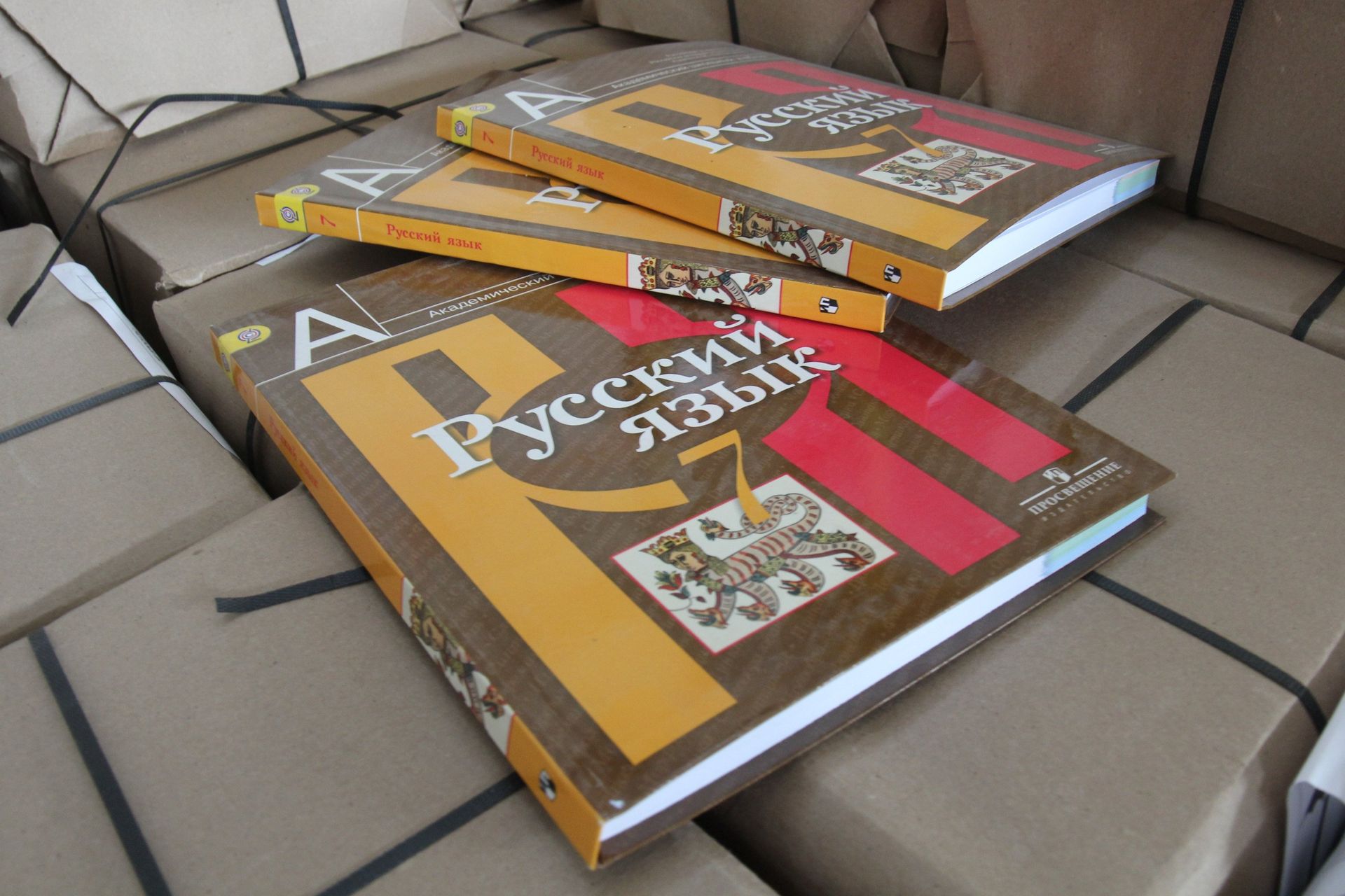 Textbooks on the Russian language. (File) - Sputnik International, 1920, 23.01.2022