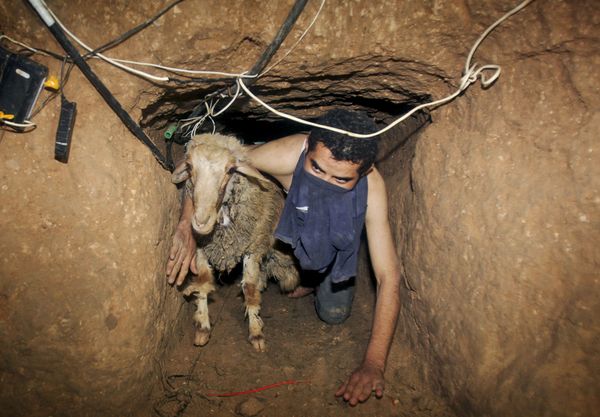 A Palestinian smuggler moves a goat through a tunnel from Egypt to the Gaza Strip under the border in Rafah, southern Gaza Strip, Friday, Nov. 14, 2008 A Palestinian smuggler moves a goat through a tunnel from Egypt to the Gaza Strip under the border in Rafah, southern Gaza Strip, Friday, Nov. 14, 2008 - Sputnik International