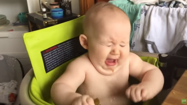Lesson Learned: Baby’s First Pickle - Sputnik International