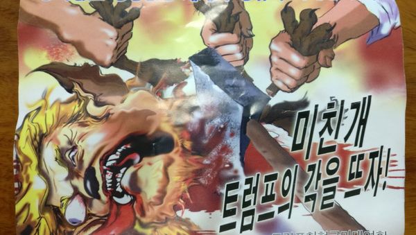 An anti-Trump leaflet believed to come from North Korea by balloon is pictured in this undated handout photo released by NK News on October 16, 2017. The text in Korean reads For the peaceful world without war and for the future of mankind (top) and Butcher a mad dog Trump! An anti-Trump leaflet believed to come from North Korea by balloon is pictured in this undated handout photo released by NK News on October 16, 2017. The text in Korean reads For the peaceful world without war and for the future of mankind (top) and Butcher a mad dog Trump! - Sputnik International