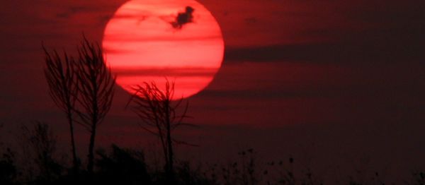 Red sun Red sun - Sputnik International