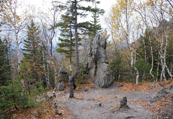 Golden Season: Autumn Across Russia Golden Season: Autumn Across Russia - Sputnik International