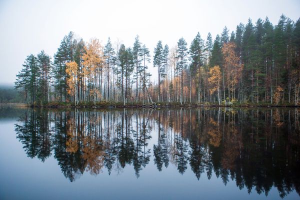 Golden Season: Autumn Across Russia Golden Season: Autumn Across Russia - Sputnik International