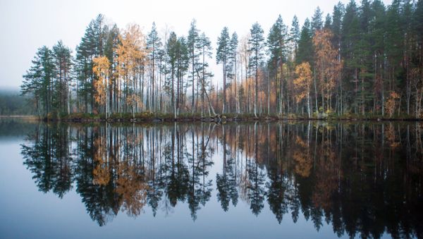 Lake Tolvayarvi in Suoyarvsky District of the Republic of Karelia - Sputnik International
