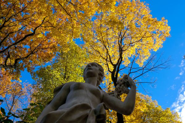 Golden Season: Autumn Across Russia Golden Season: Autumn Across Russia - Sputnik International