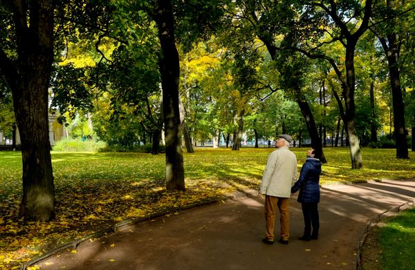 Golden Season: Autumn Across Russia Golden Season: Autumn Across Russia - Sputnik International