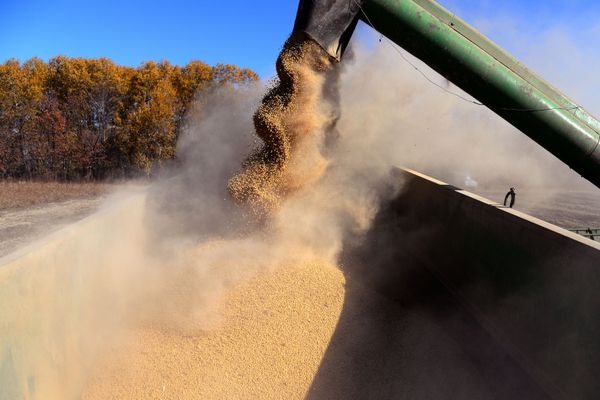 Golden Season: Autumn Across Russia Golden Season: Autumn Across Russia - Sputnik International