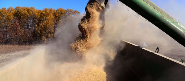 A combine unloads beans during soybeans harvesting in the Khabarovsk Territory A combine unloads beans during soybeans harvesting in the Khabarovsk Territory - Sputnik International